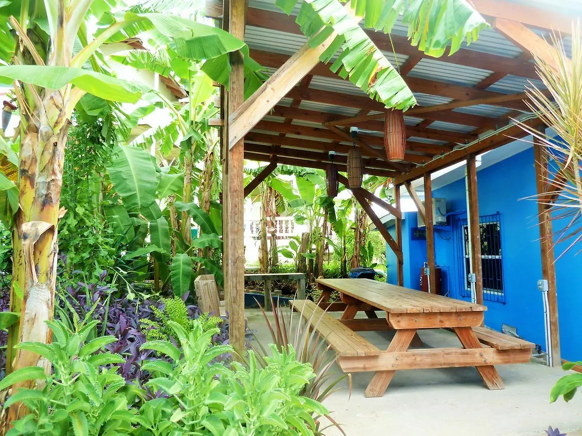 Miller'S Guest House Buccoo
