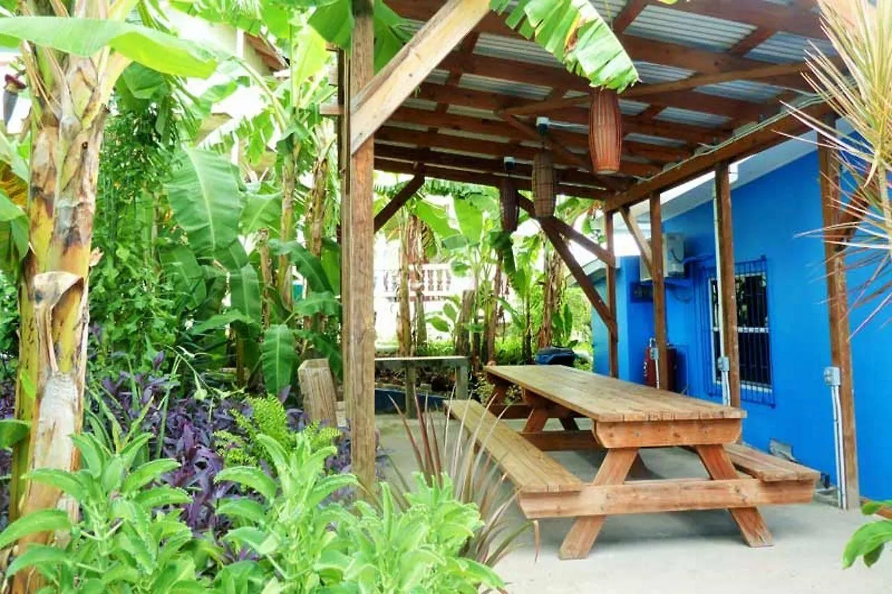 Miller'S Guest House Buccoo